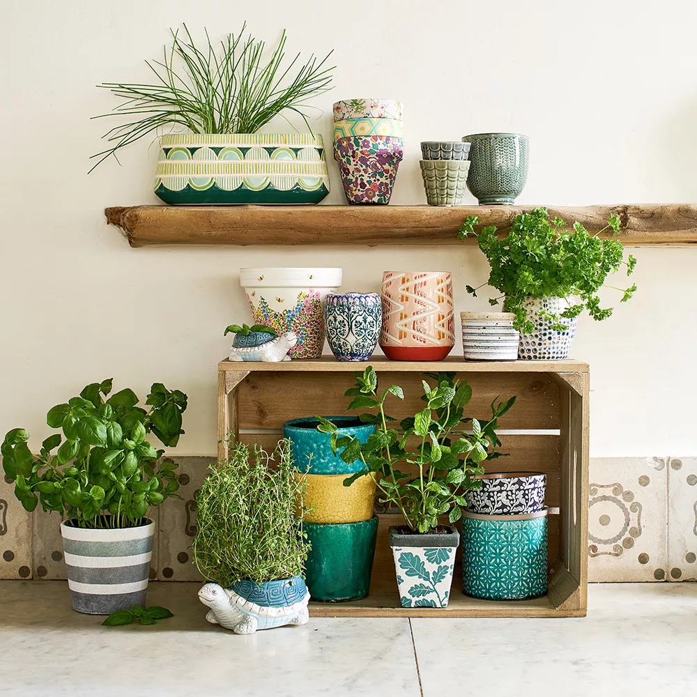 Decor phòng trọ nhỏ không gác với vườn thảo mộc xanh mát.