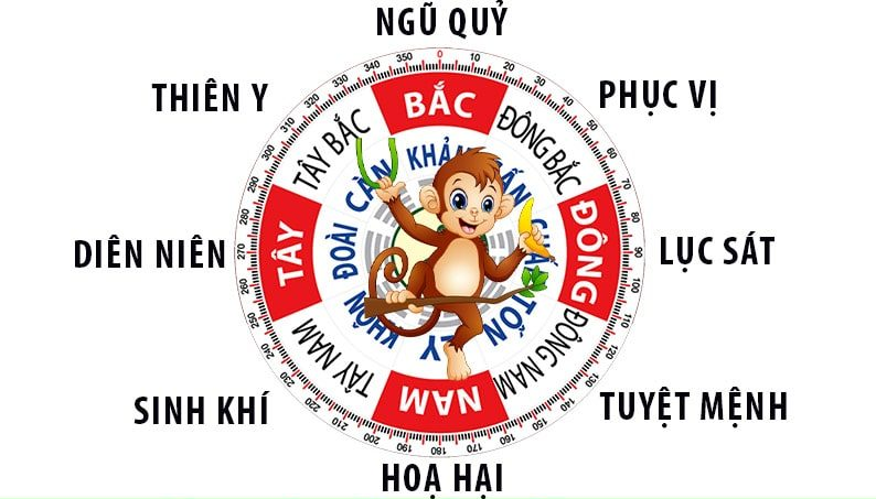 biểu đồ minh họa 4 hướng tốt theo phong thủy gồm Thiên Y, Sinh Khí, Phục Vị và Diên Niên. 