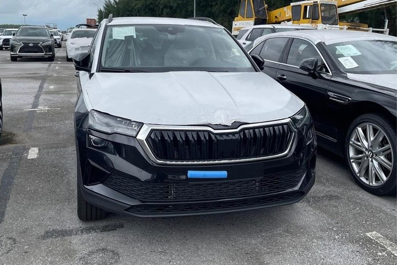 Lô xe Skoda cập bến thị trường cách đây không lâu 1