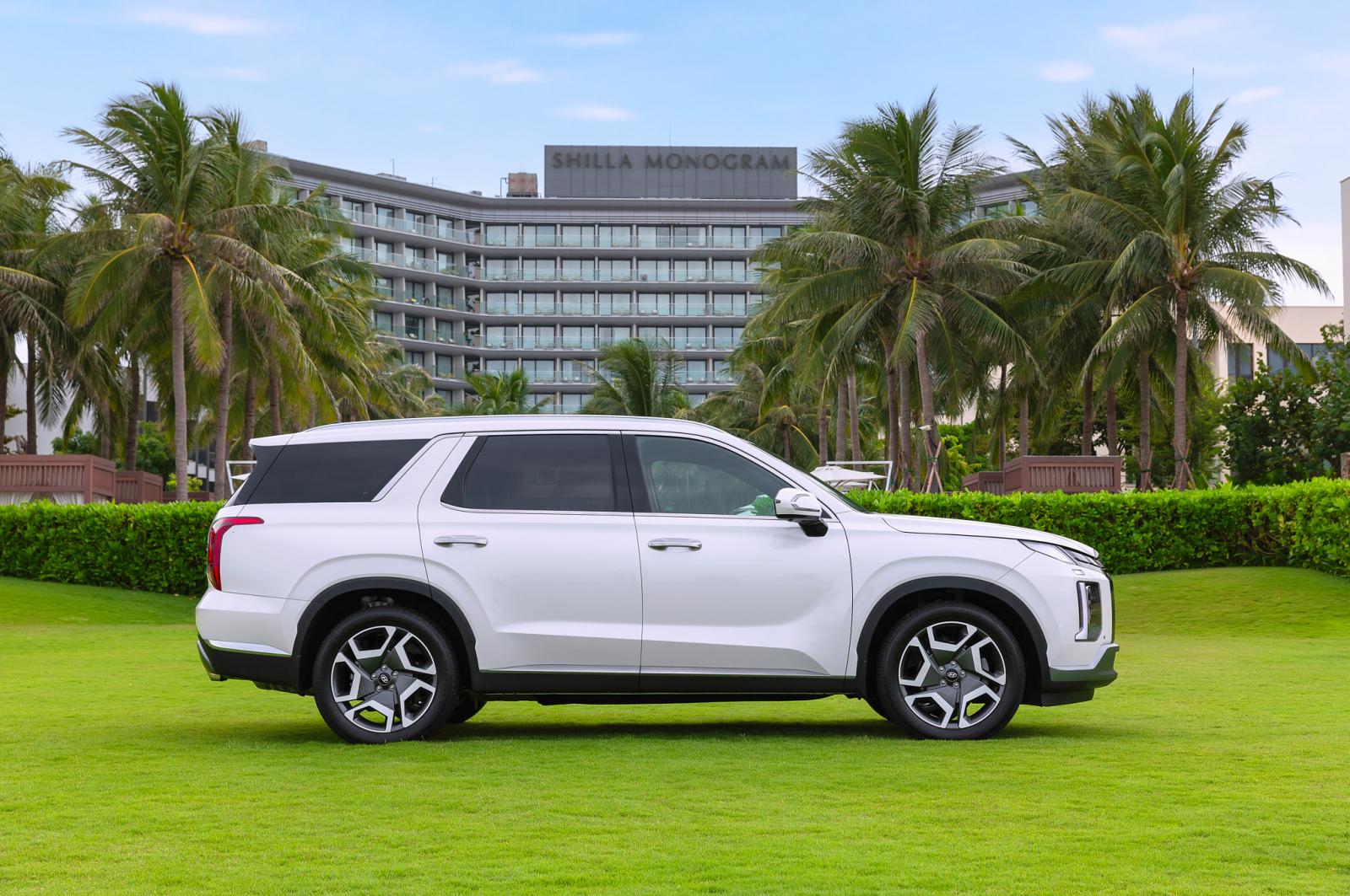 Th&acirc;n xe Hyundai Palisade .