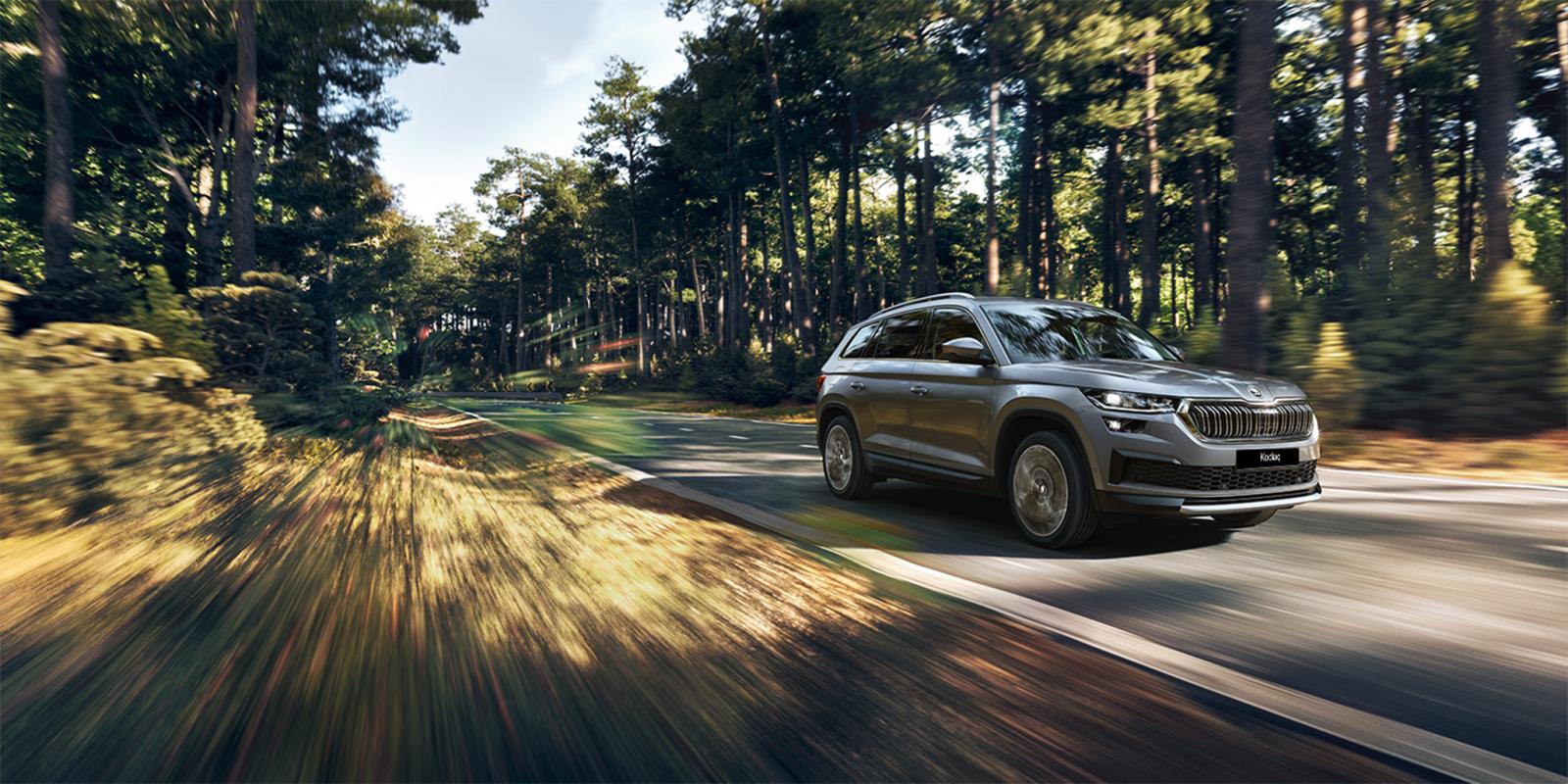 Gi&aacute; lăn b&aacute;nh Skoda Kodiaq.