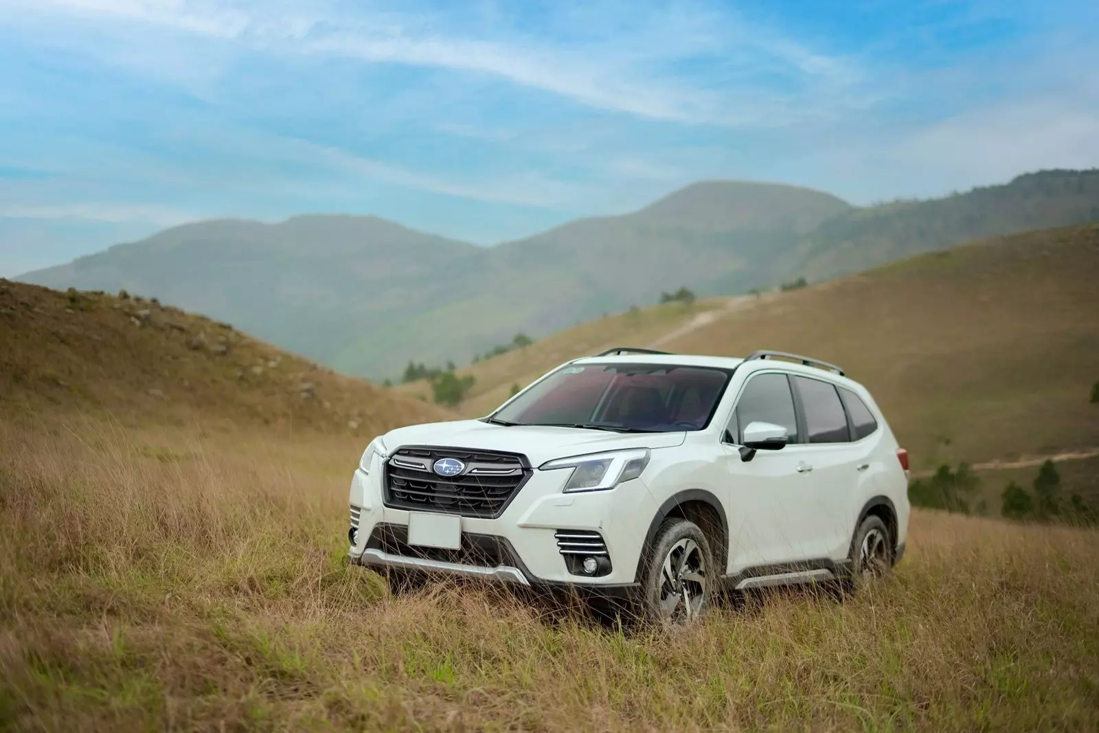 Subaru Forester đang bán tại Việt Nam là xe nhập khẩu từ Thái Lan. 1