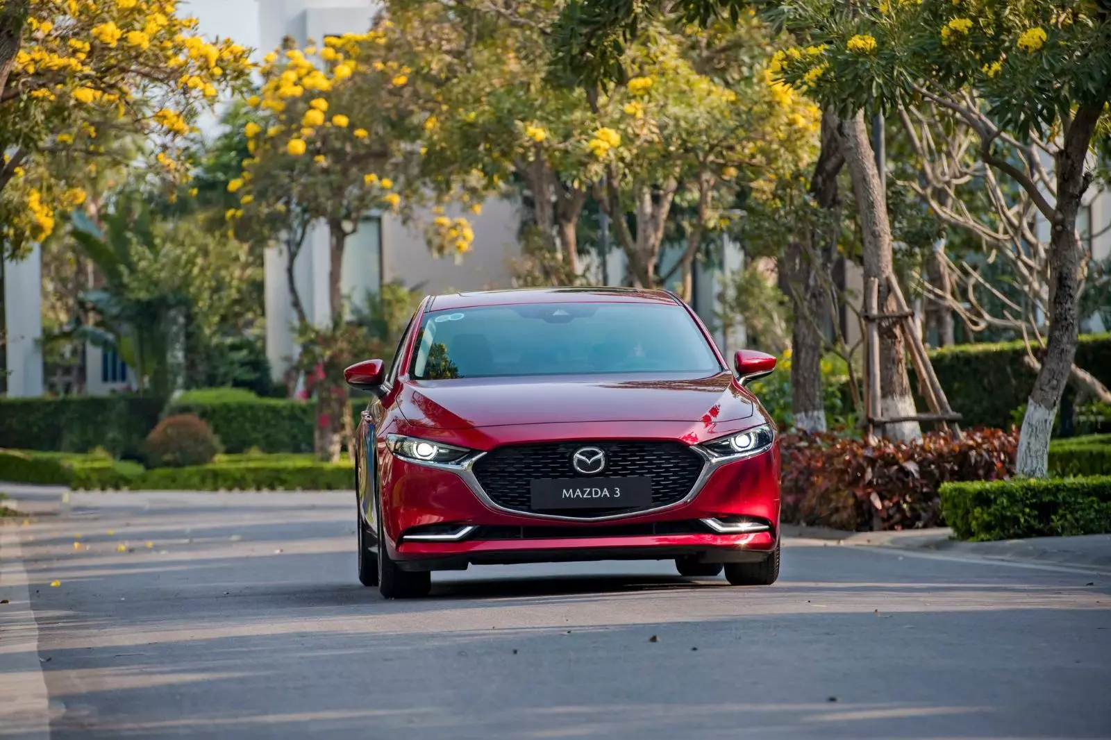 Sức mua sedan cỡ C 2024 tiếp đà giảm, Mazda 3 giữ vững danh hiệu quán quân.