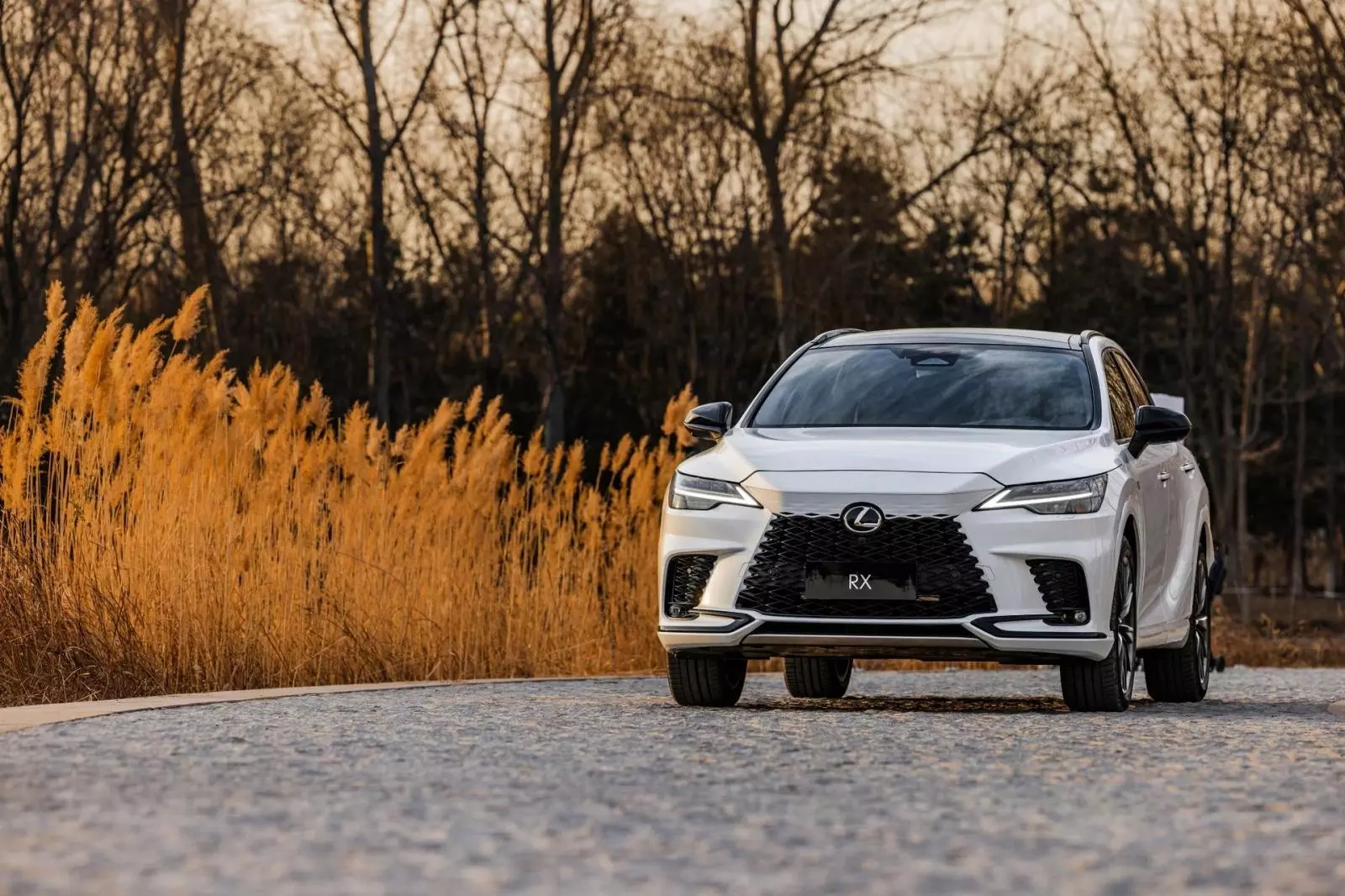 xe Lexus tại Việt Nam bị triệu hồi xe Lexus tại Việt Nam bị triệu hồi.