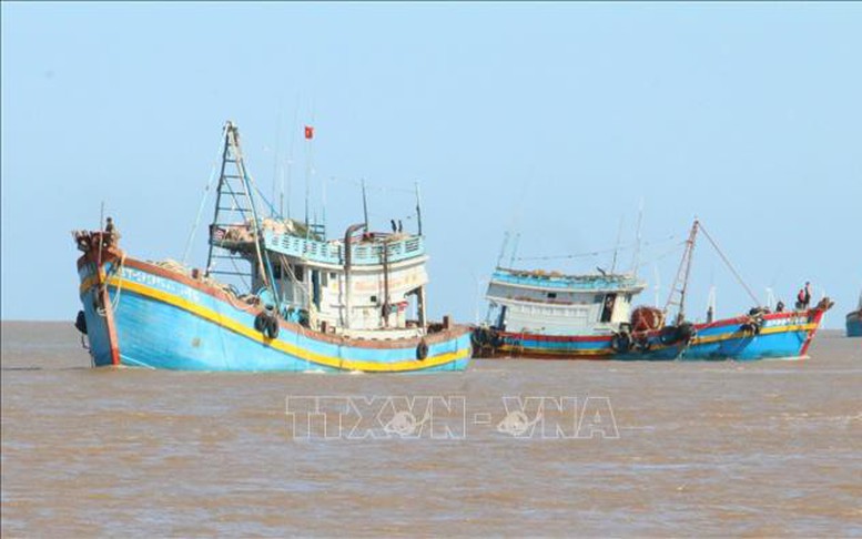 Gỡ 'thẻ vàng' IUU và tạo sinh kế bền vững cho ngư dân- Ảnh 12.