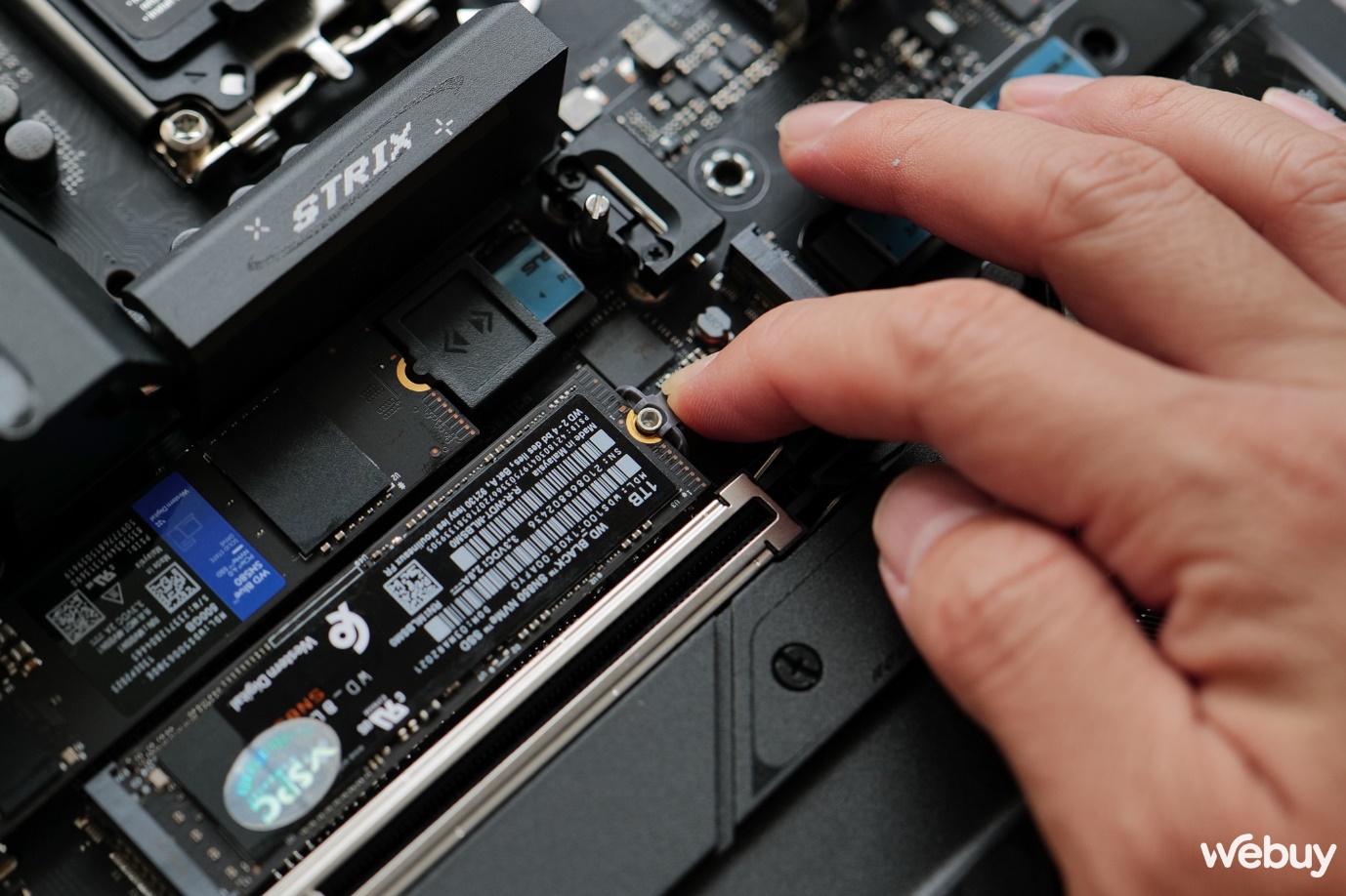 A close-up of a hand holding a small computer chip  Description automatically generated