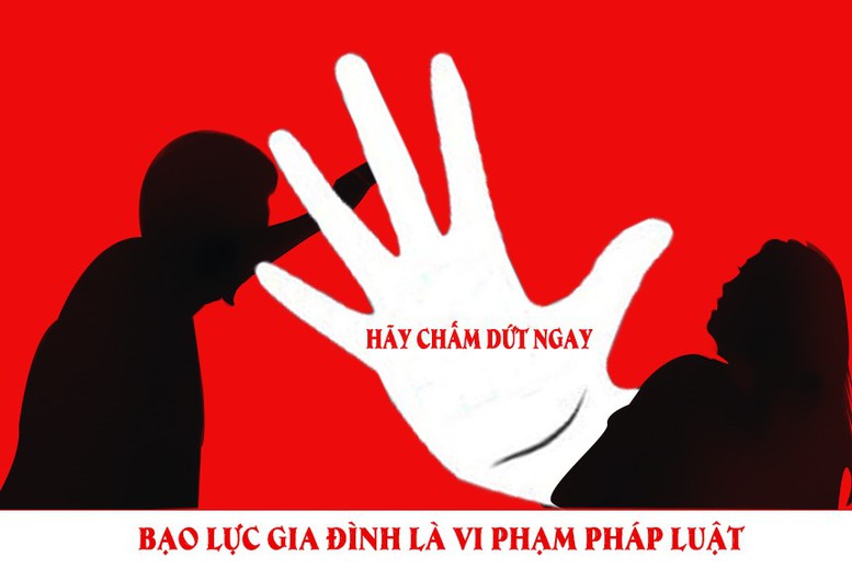 Giám sát việc thực hiện quyết định cấm tiếp xúc trong phòng, chống bạo lực gia đình- Ảnh 1.