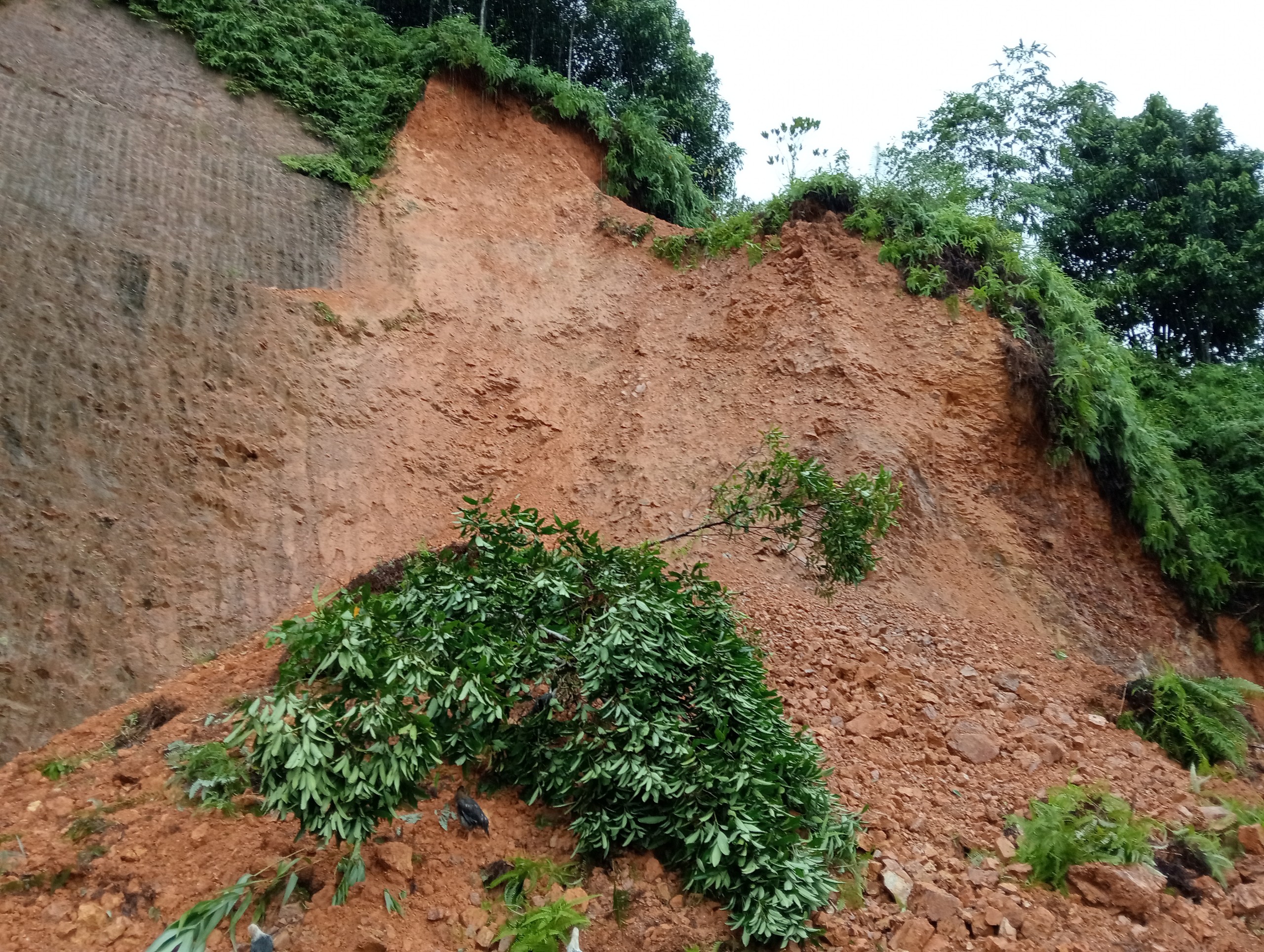 A3: Điểm sạt lở tại xã Quy Mông (huyện Trấn Yên).