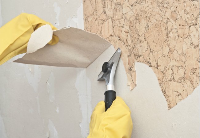 2 món đồ quen thuộc trong nhà dễ là "ổ chứa" chất gây ung thư máu và bệnh bạch cầu- Ảnh 2. 2 món đồ quen thuộc trong nhà dễ là "ổ chứa" chất gây ung thư máu và bệnh bạch cầu- Ảnh 2.