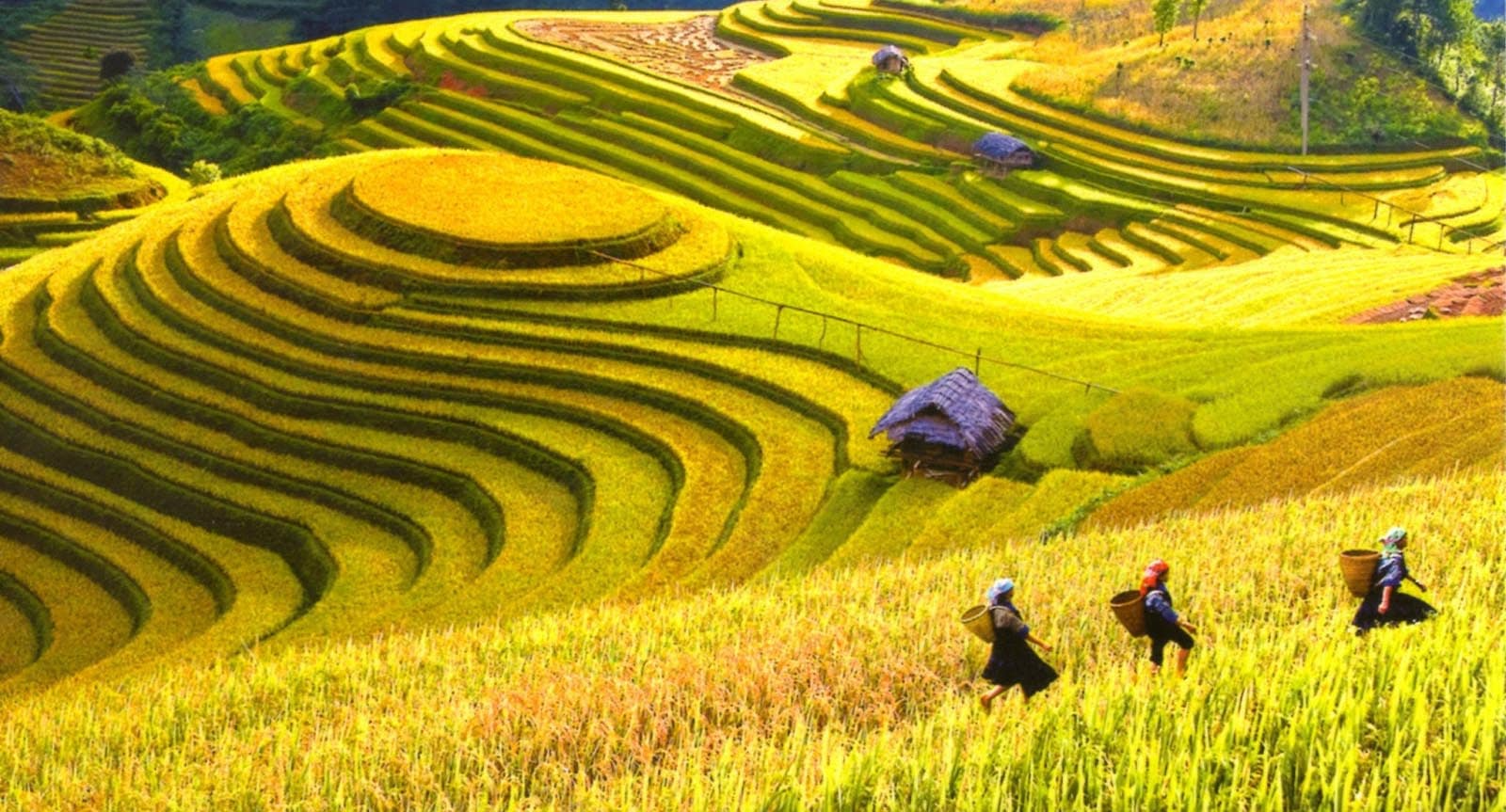 Hóa ra đây là nơi ở của Quân Già trong "Độc Đạo": Căn villa trên đỉnh đồi cách Hà Nội 150km, giá thuê 28 triệu/đêm- Ảnh 27.