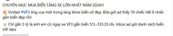 VinFast VF 3 - 'ông vua mới trong làng biển đẹp': Vừa đấu giá 3,9 tỷ liền rao bán chênh tới gần 1 tỷ đồng- Ảnh 1.