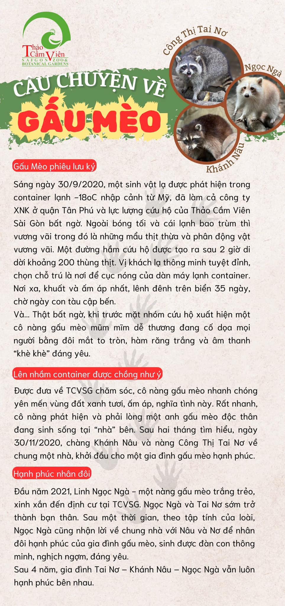 Chuyện chưa kể về "idol" Công Thị Tai Nơ ở Thảo Cầm Viên: "Lên nhầm container được chồng như ý"- Ảnh 13. Chuyện chưa kể về "idol" Công Thị Tai Nơ ở Thảo Cầm Viên: "Lên nhầm container được chồng như ý"- Ảnh 13.