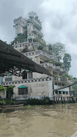 Bí ẩn căn biệt thự của đại gia ở Tiền Giang, nay "dãi nắng dầm sương", bỏ hoang không người ở- Ảnh 1.