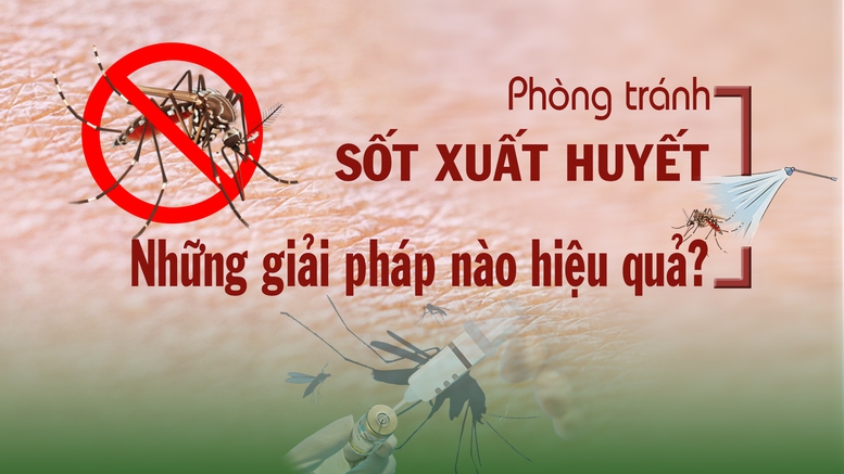 Toạ đàm ‘Phòng tránh sốt xuất huyết - Những giải pháp nào hiệu quả?’- Ảnh 1.