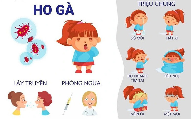 Cảnh báo trẻ mắc ho gà phải nhập viện và dấu hiệu nhận biết bệnh- Ảnh 6.