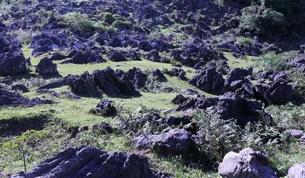 Bạt ngàn đá. Ảnh: Nguyễn Đình Ánh.