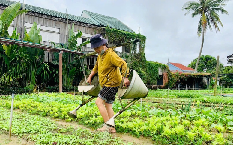 Tiếp tục tập trung thực hiện hiệu quả công tác thống kê du lịch- Ảnh 5.