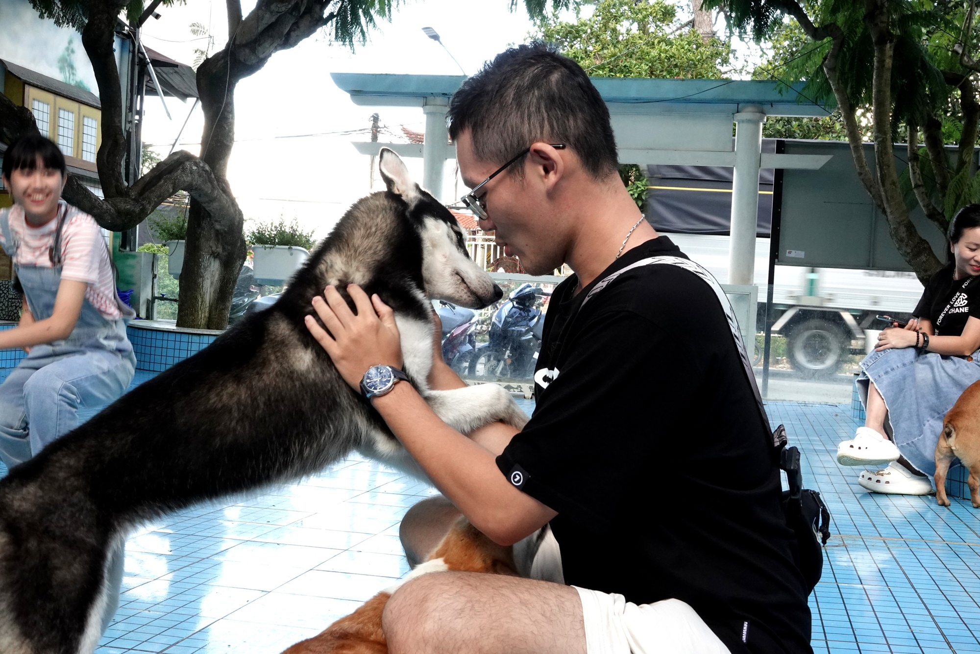 Những quán cà phê chó mèo tại Đà Lạt đông đúc hơn, chủ quán nói "khách tới để xem thú cưng có bị bạo hành không"- Ảnh 9.