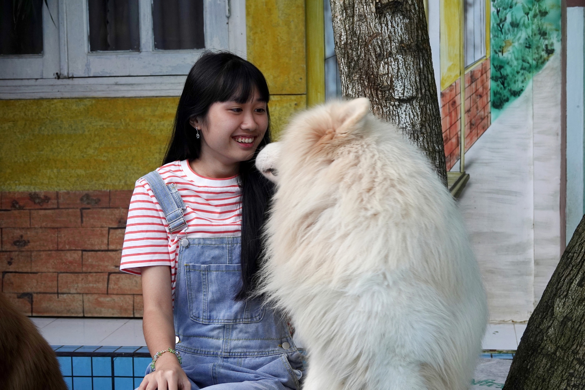 Những quán cà phê chó mèo tại Đà Lạt đông đúc hơn, chủ quán nói "khách tới để xem thú cưng có bị bạo hành không"- Ảnh 8.