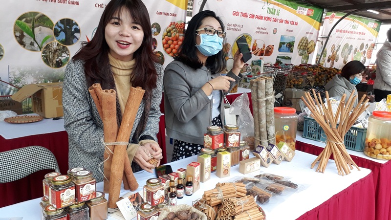 Yên Bái đưa Chương trình OCOP đi vào chiều sâu, hiệu quả và bền vững- Ảnh 5.