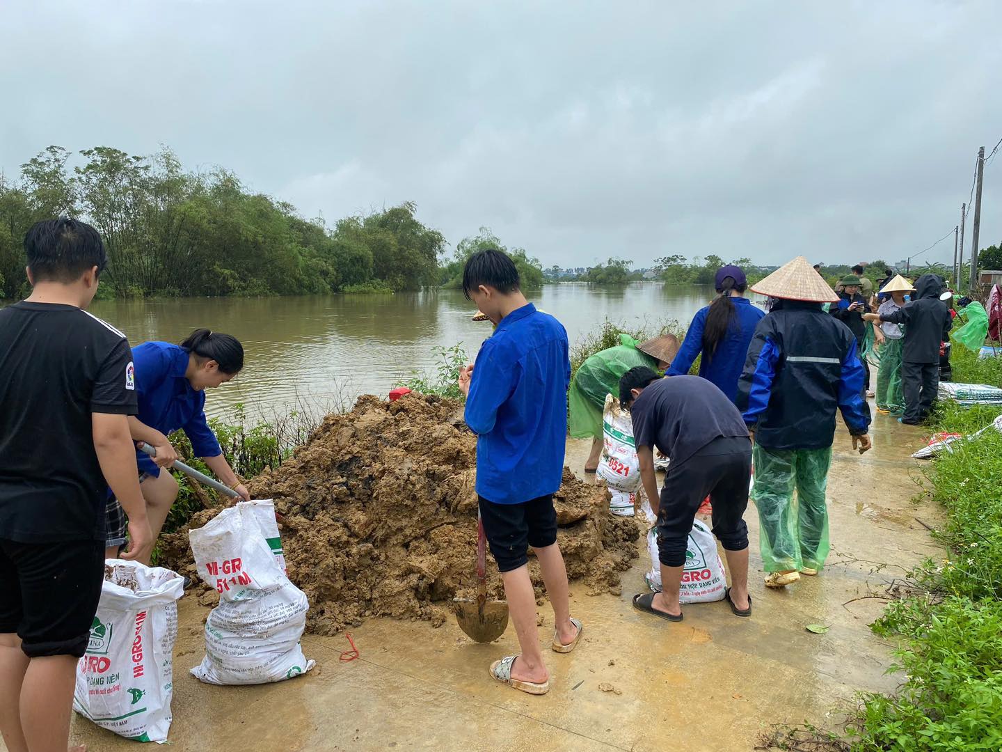 Thanh niên Thủ đô nỗ lực giúp người dân ổn định cuộc sống
- Ảnh 4.