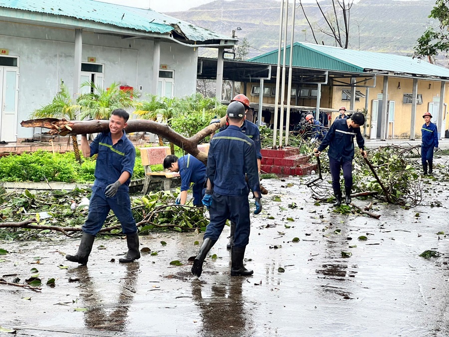 Đoàn Than Quảng Ninh huy động hơn 5.000 đoàn viên, thanh niên tham gia khắc phục thiệt hại do bão số 3 gây ra- Ảnh 2.