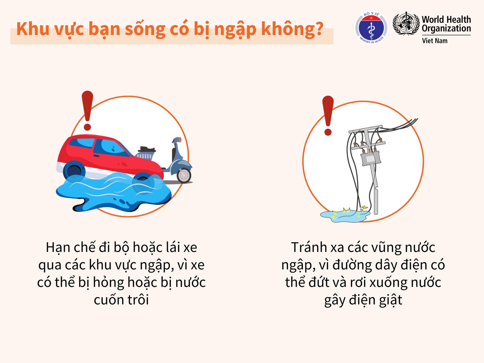 Bộ Y tế khuyến cáo: Người dân vùng bão lũ không sử dụng gia súc, gia cầm chết làm thức ăn hoặc chế biến thực phẩm- Ảnh 1.