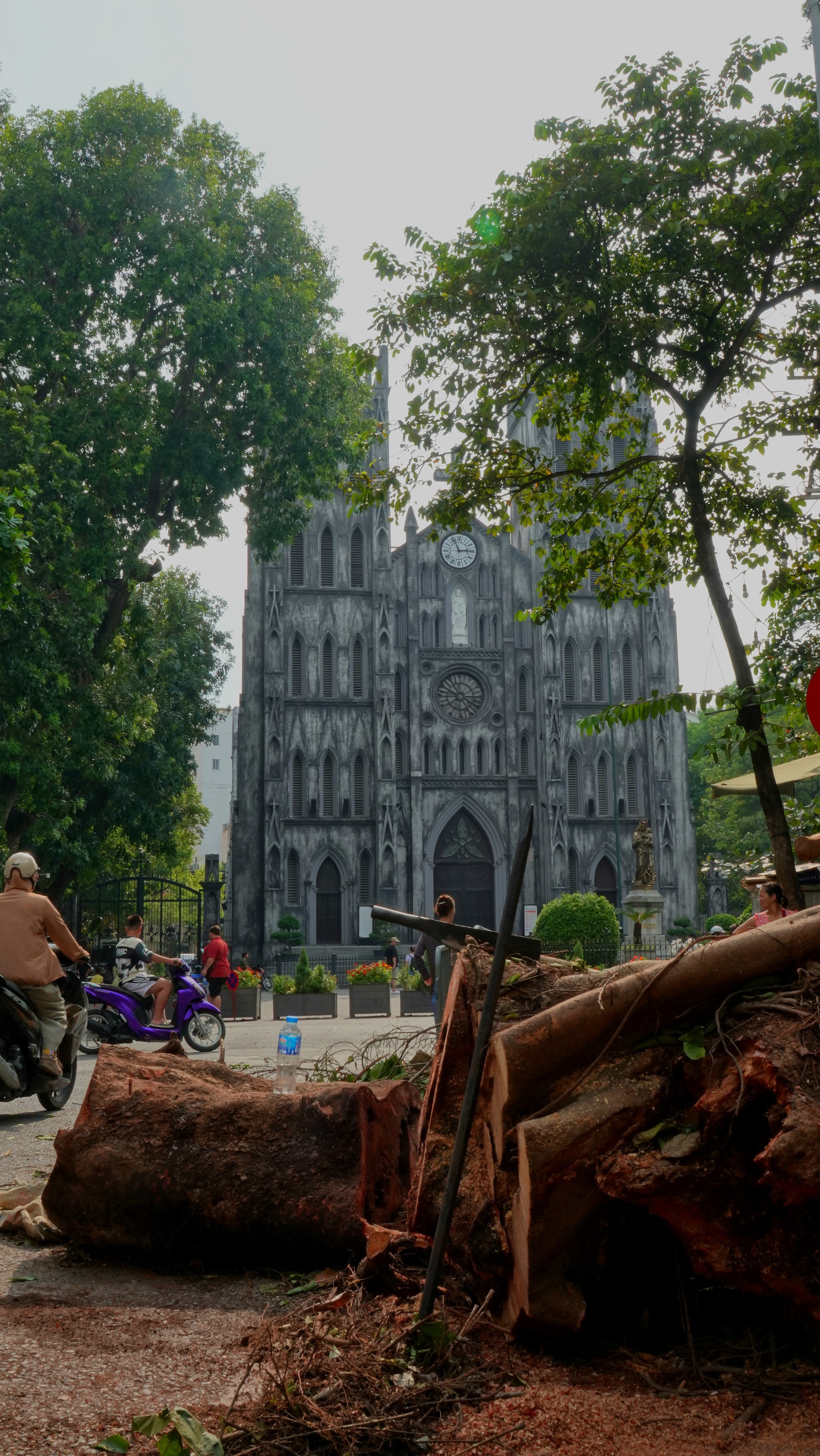 Hà Nội căng mình dọn dẹp cây xanh gãy đổ, nhanh chóng trả lại thành phố "xinh đẹp" sau bão số 3- Ảnh 3.