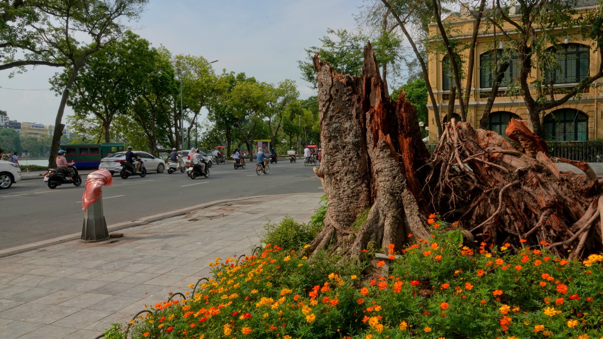 Hà Nội căng mình dọn dẹp cây xanh gãy đổ, nhanh chóng trả lại thành phố "xinh đẹp" sau bão số 3- Ảnh 1.