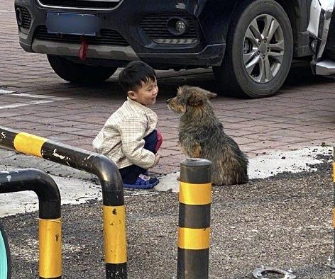 Giữa trưa không thấy con đâu, mẹ hốt hoảng chạy ra đường tìm rồi giật mình khi thấy cảnh tượng trước mắt- Ảnh 2.