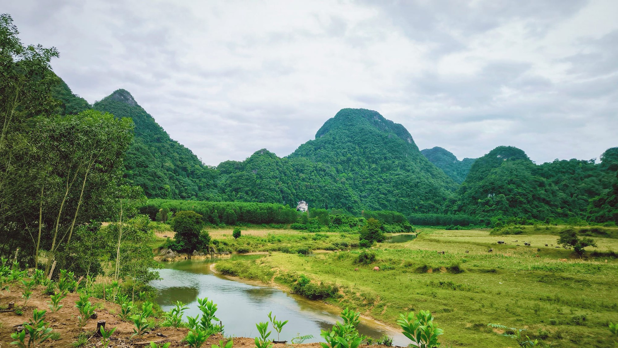 Chuyện về Tân Hóa - Làng du lịch thích ứng thời tiết tốt nhất thế giới ở Quảng Bình- Ảnh 15.