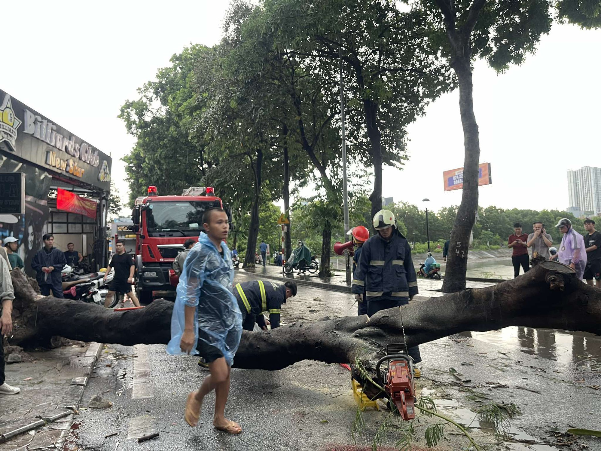 Bão Yagi chưa đổ bộ, hàng loạt cây xanh trên đường phố Hà Nội đã bật gốc ngổn ngang- Ảnh 13.