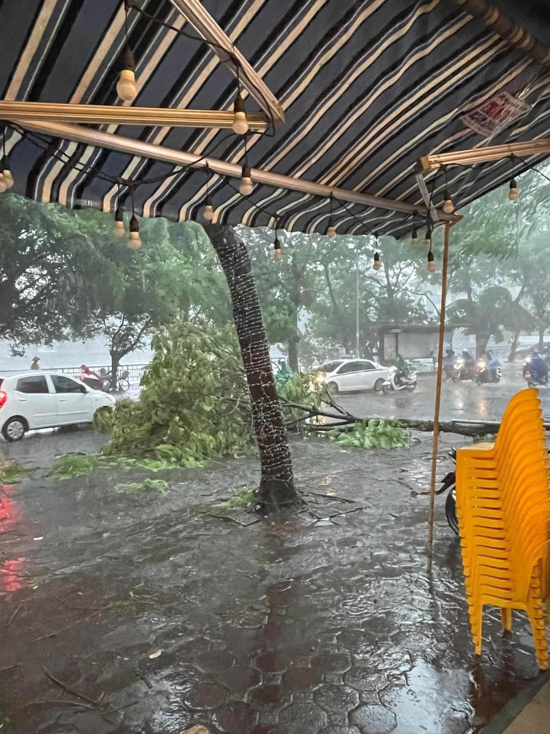 Bão Yagi chưa đổ bộ, hàng loạt cây xanh trên đường phố Hà Nội đã bật gốc ngổn ngang- Ảnh 10.