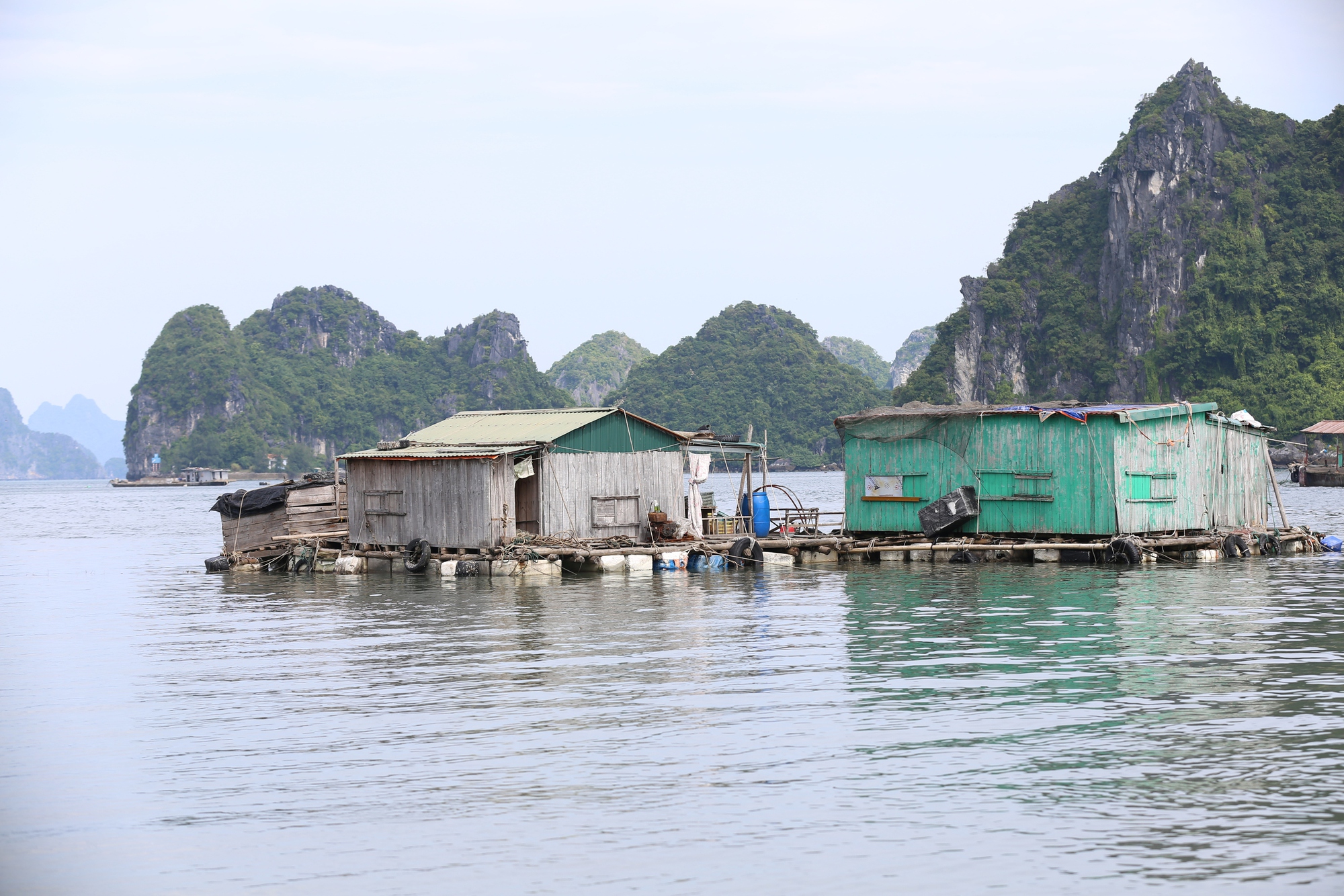 Ngư dân Quảng Ninh hối hả kéo thuyền vào bờ trước khi bão số 3 Yagi đổ bộ: “Bao nhiêu tài sản của chúng tôi đều đang ở dưới biển”- Ảnh 14.