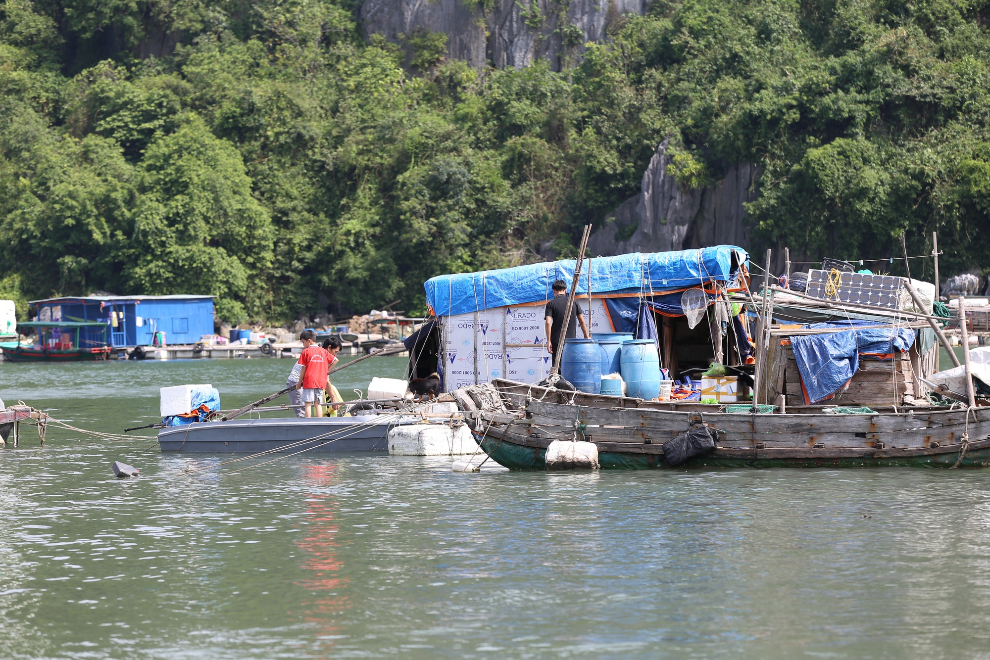 Ngư dân Quảng Ninh hối hả kéo thuyền vào bờ trước khi bão số 3 Yagi đổ bộ: “Bao nhiêu tài sản của chúng tôi đều đang ở dưới biển”- Ảnh 5.