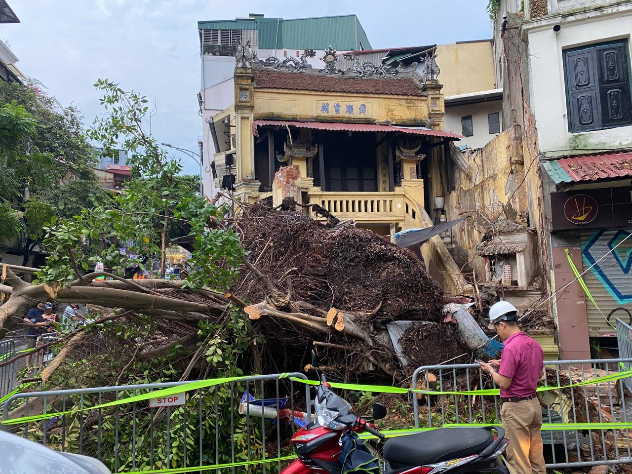 Bão Yagi chưa đổ bộ, hàng loạt cây xanh trên đường phố Hà Nội đã bật gốc ngổn ngang- Ảnh 4.