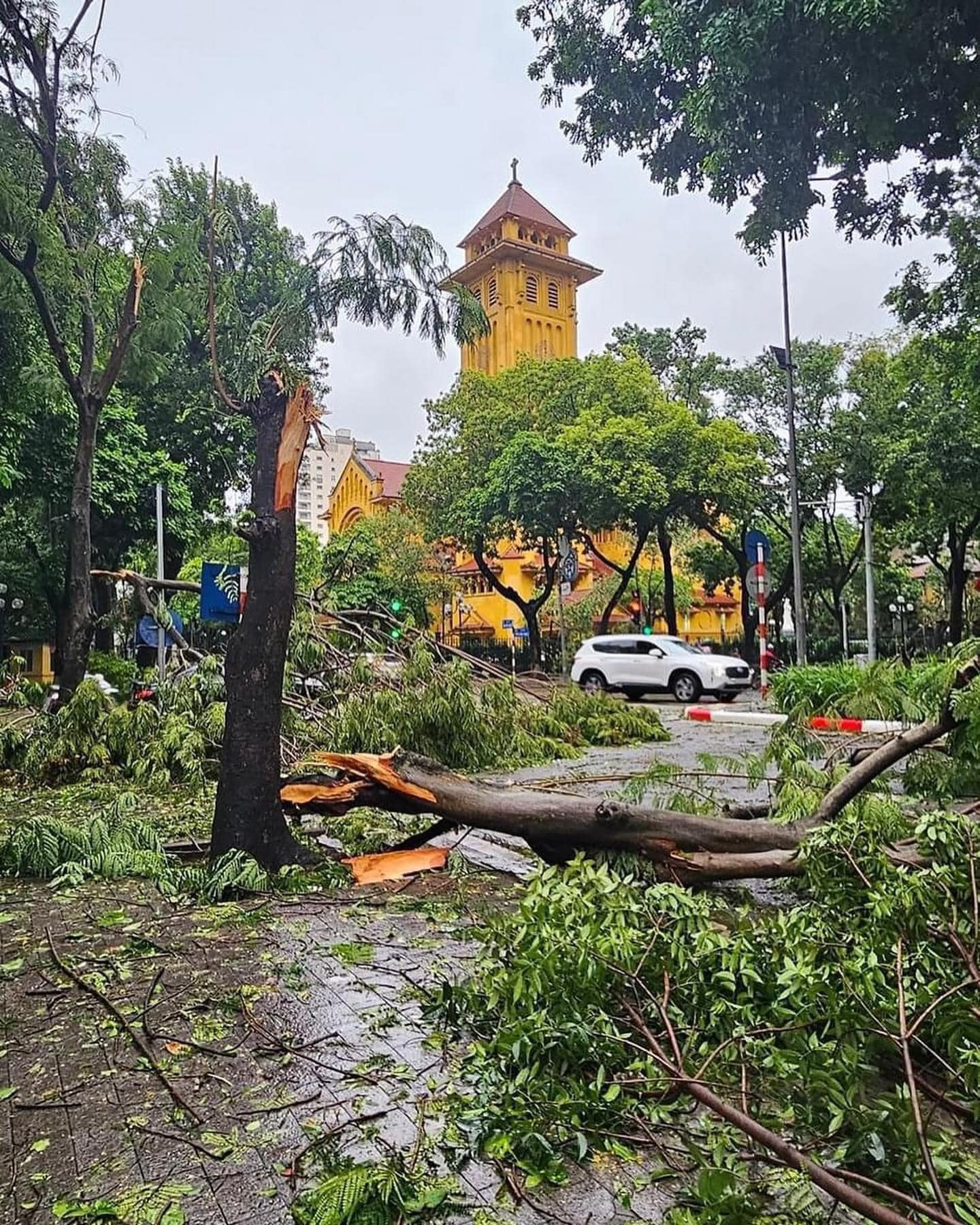 Con đường của những "nàng thơ" ở Hà Nội tan hoang sau bão Yagi- Ảnh 7.