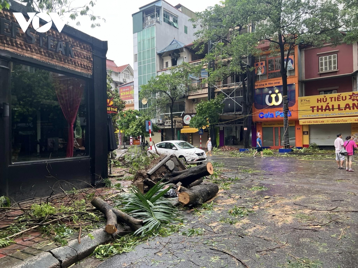 Trực tiếp bão số 3: Cây đổ la liệt khắp phố, Hà Nội và các địa phương khẩn trương thu dọn- Ảnh 15.