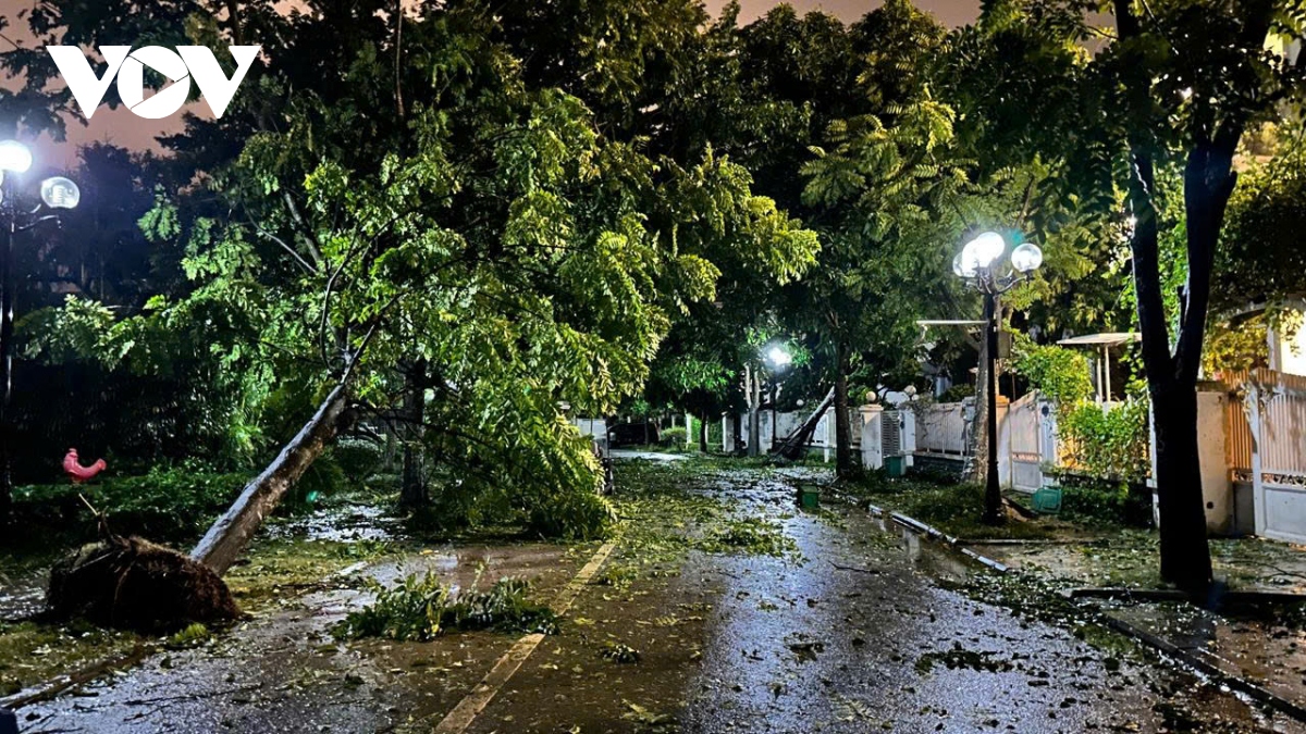 Trực tiếp bão số 3: Cây đổ la liệt khắp phố, Hà Nội và các địa phương khẩn trương thu dọn- Ảnh 24.