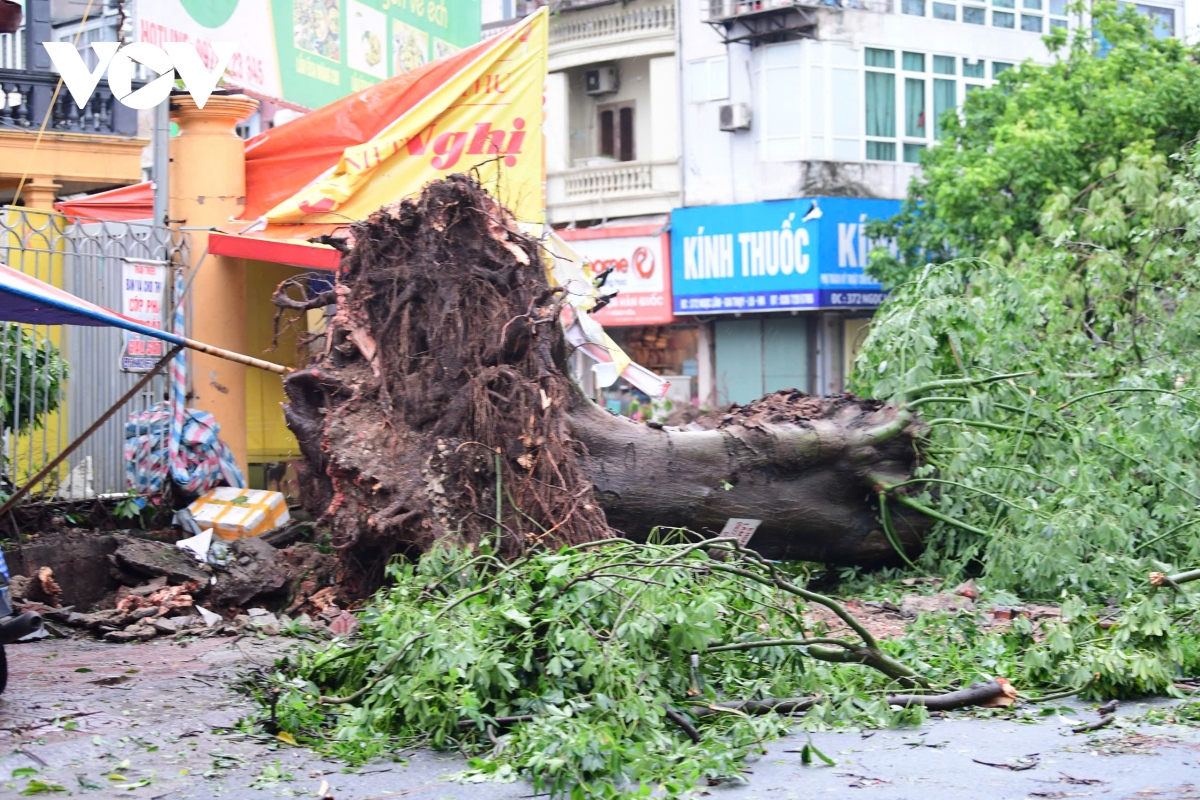 Trực tiếp bão số 3: Cây đổ la liệt khắp phố, Hà Nội và các địa phương khẩn trương thu dọn- Ảnh 18.