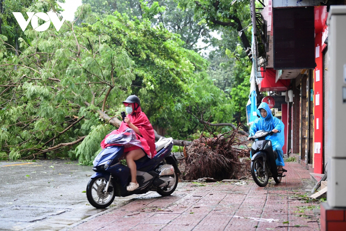 Trực tiếp bão số 3: Cây đổ la liệt khắp phố, Hà Nội và các địa phương khẩn trương thu dọn- Ảnh 19.