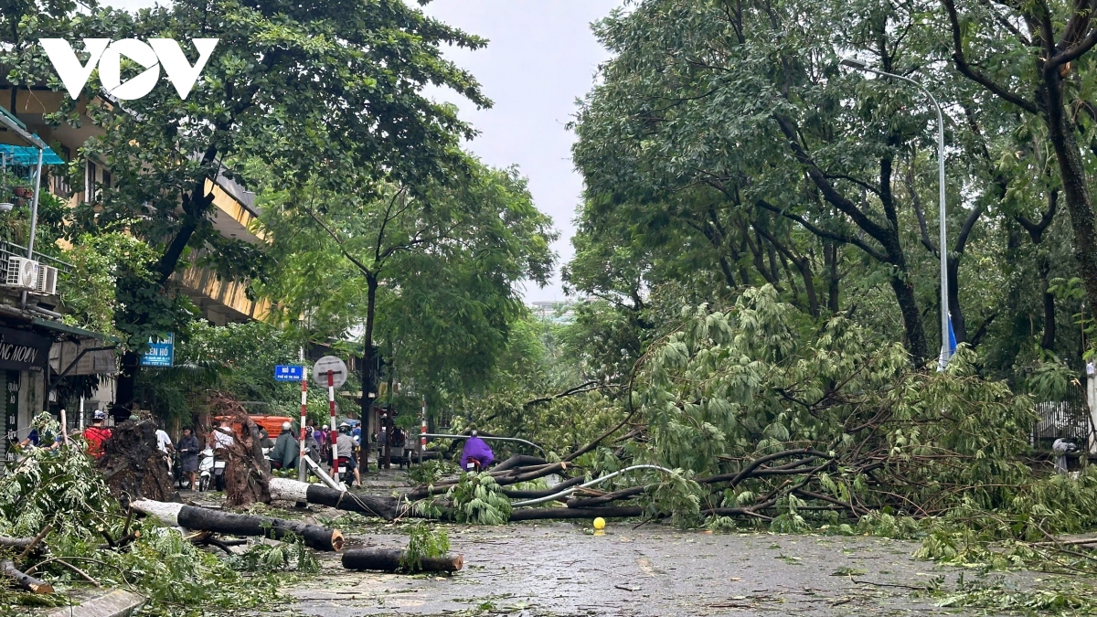 Trực tiếp bão số 3: Cây đổ la liệt khắp phố, Hà Nội và các địa phương khẩn trương thu dọn- Ảnh 10.