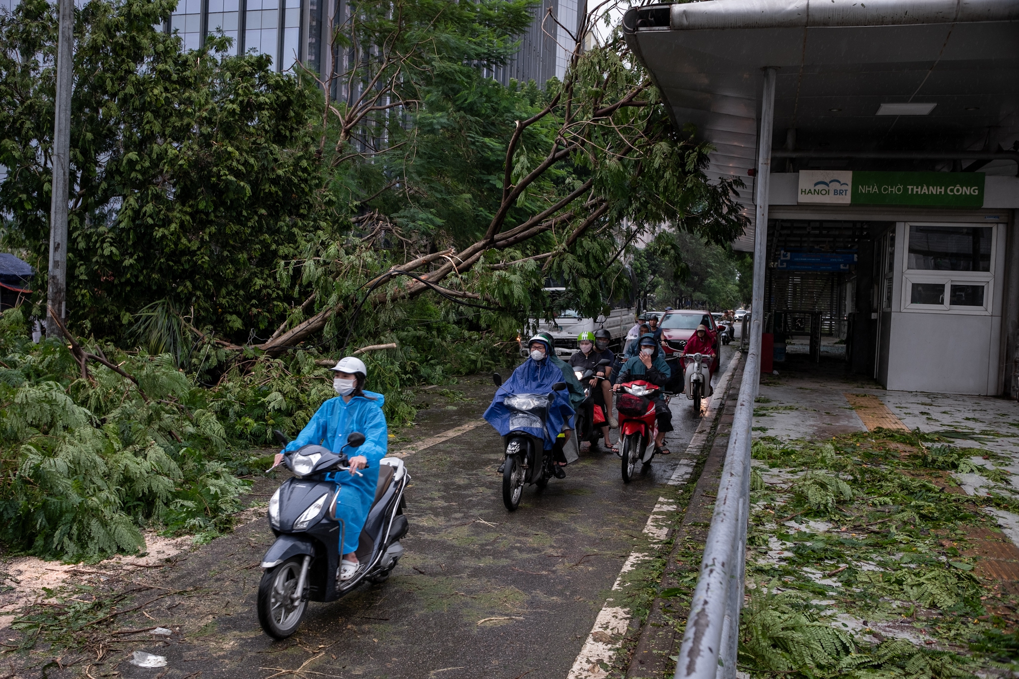 Không thể nhận ra phố phường Hà Nội sau bão Yagi: Giao thông nhiều tuyến tê liệt vì cây gãy đổ, lực lượng cứu hộ vất vả khắc phục hậu quả- Ảnh 40.