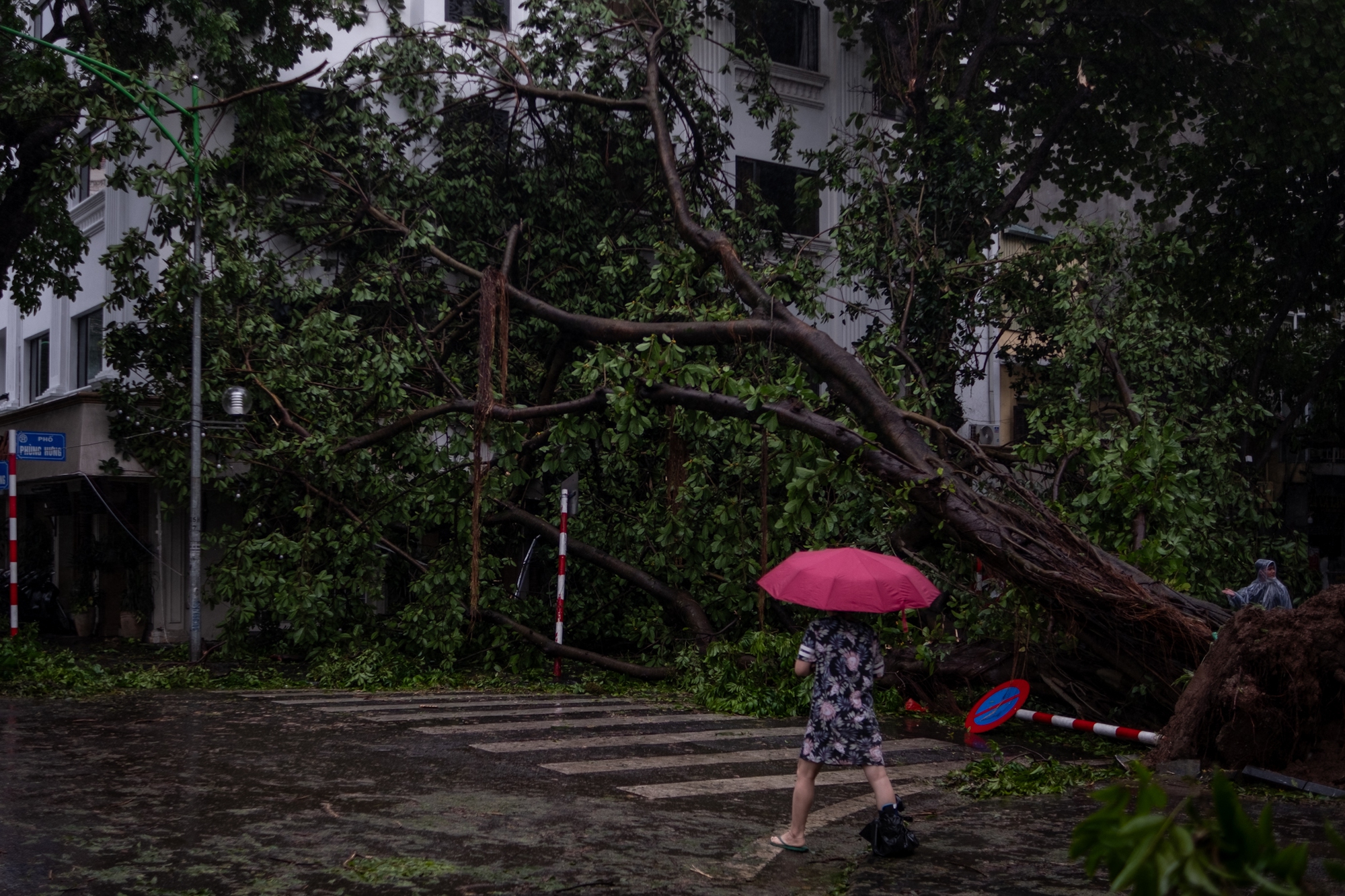 Không thể nhận ra phố phường Hà Nội sau bão Yagi: Giao thông nhiều tuyến tê liệt vì cây gãy đổ, lực lượng cứu hộ vất vả khắc phục hậu quả- Ảnh 2.