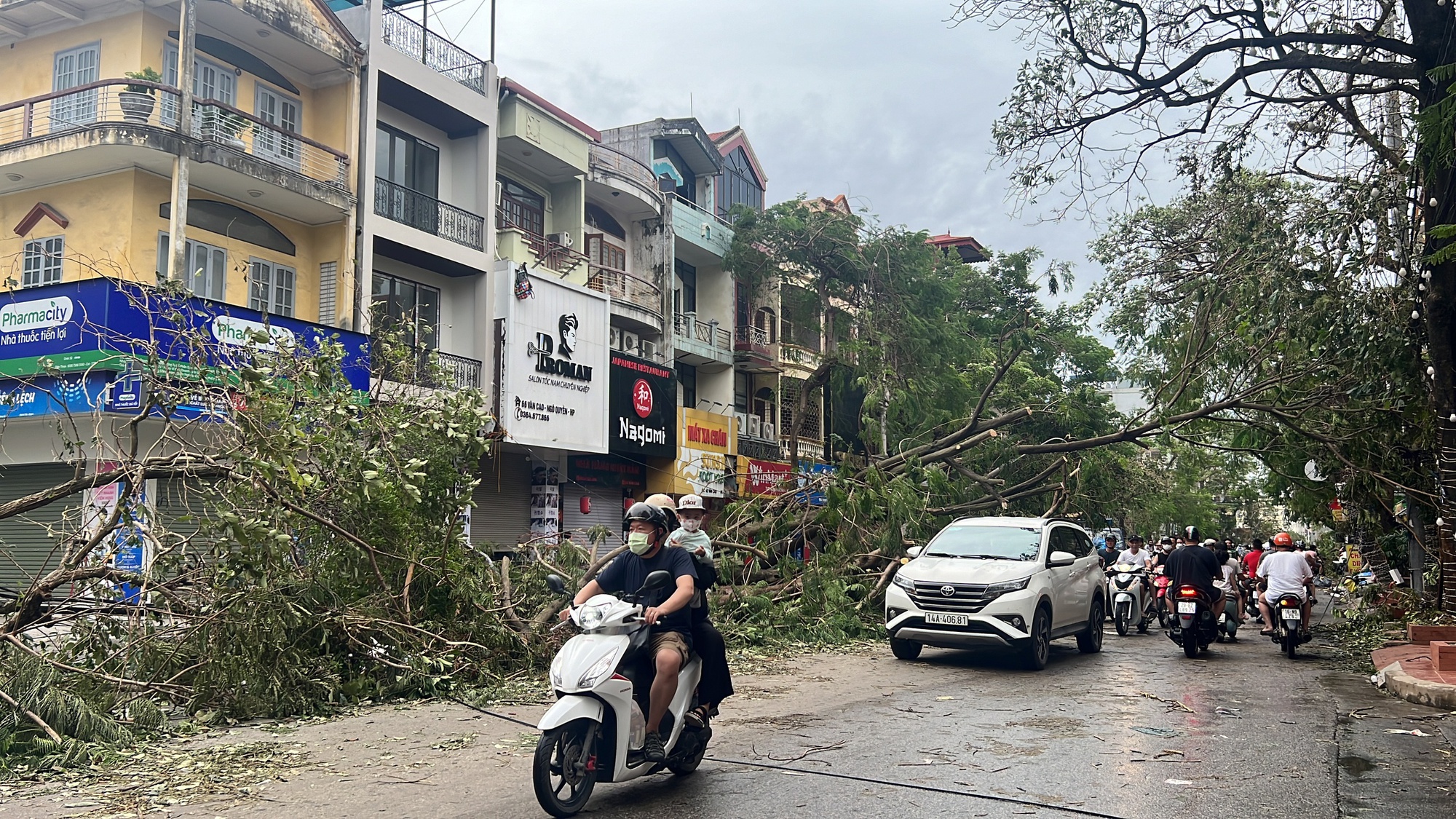 Hải Phòng dồn toàn lực khắc phục hậu quả sau bão số 3, nhân viên môi trường làm việc 12 tiếng/ ngày để dọn cây đổ- Ảnh 3.