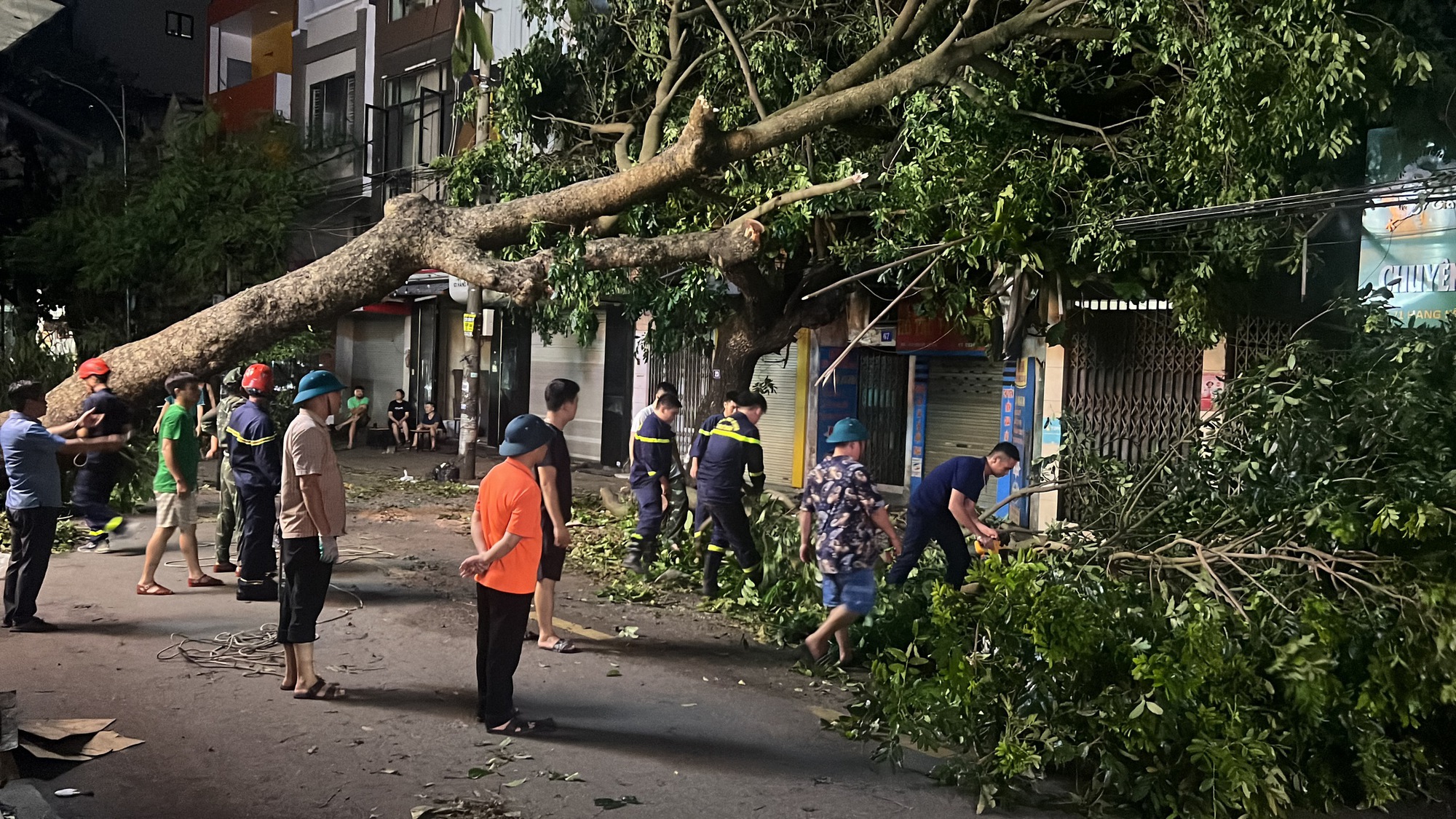 Hải Phòng dồn toàn lực khắc phục hậu quả sau bão số 3, nhân viên môi trường làm việc 12 tiếng/ ngày để dọn cây đổ- Ảnh 4.