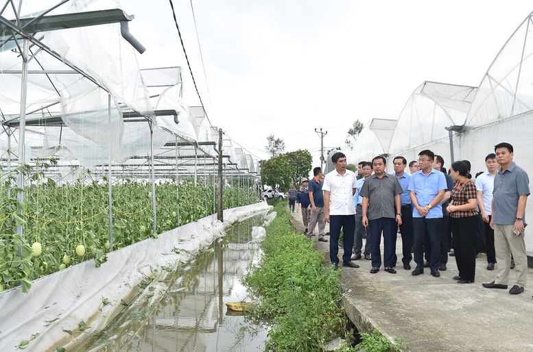 Phó Thủ tướng Lê Thành Long kiểm tra công tác khắc phục hậu quả bão số 3 tại Hải Dương- Ảnh 1. Phó Thủ tướng Lê Thành Long kiểm tra công tác khắc phục hậu quả bão số 3 tại Hải Dương- Ảnh 1.