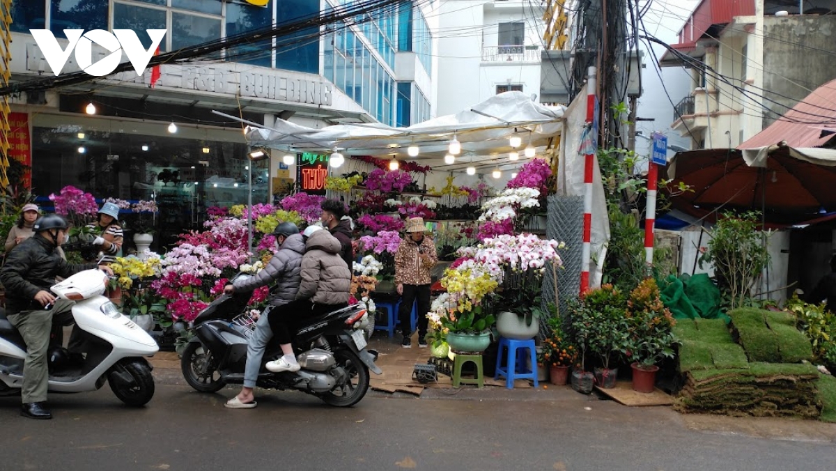 Người bán đào, quất Tết ở Hà Nội co ro dưới trời mưa rét- Ảnh 14.