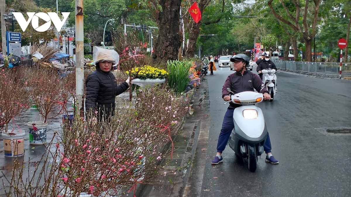 Người bán đào, quất Tết ở Hà Nội co ro dưới trời mưa rét- Ảnh 2.