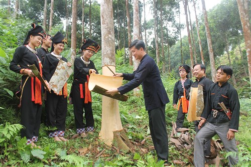 Huyện được mệnh danh là “thủ phủ” cây quế của tỉnh Yên Bái đạt chuẩn nông thôn mới- Ảnh 1.